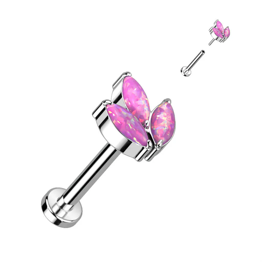 Image du produit 10