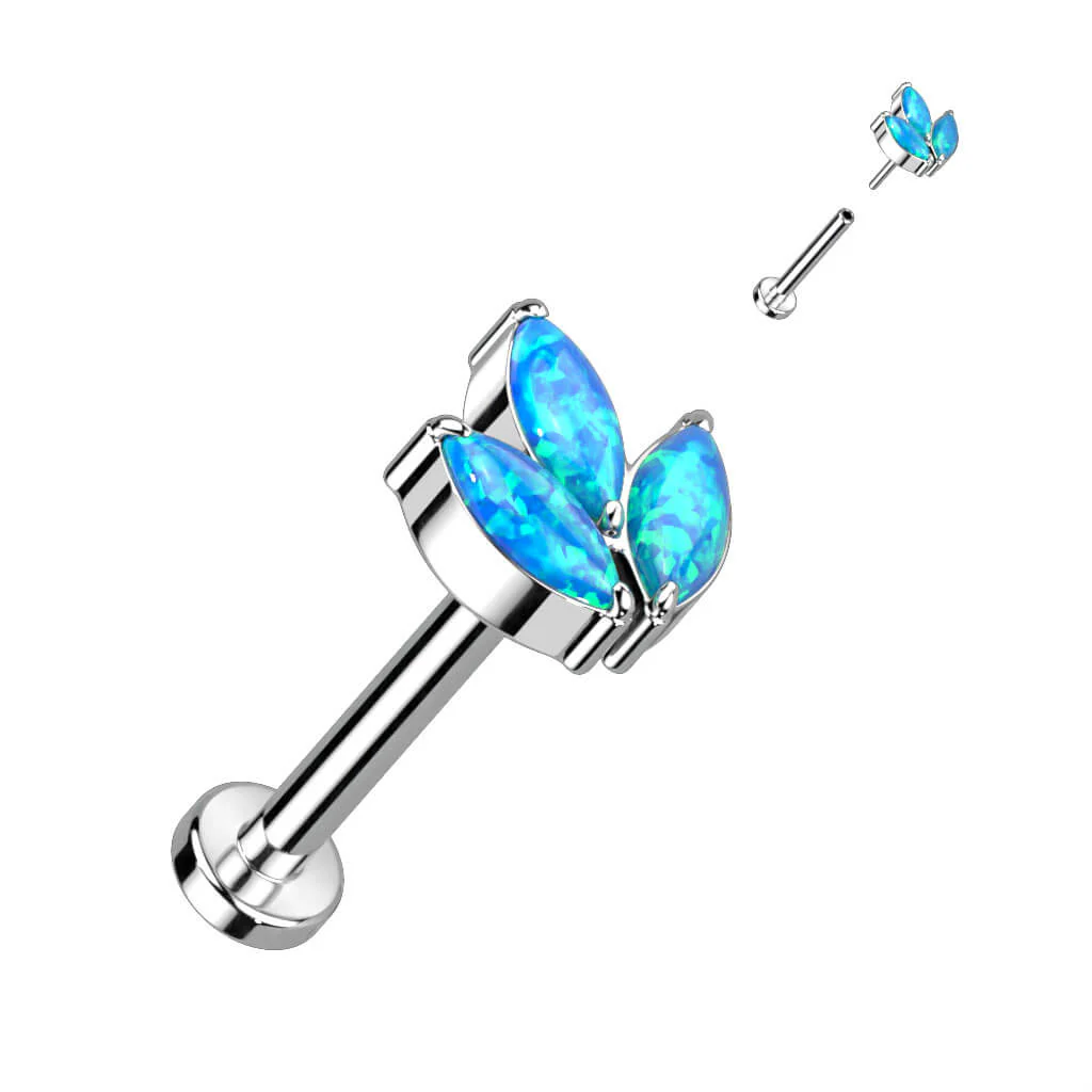 Image du produit 8